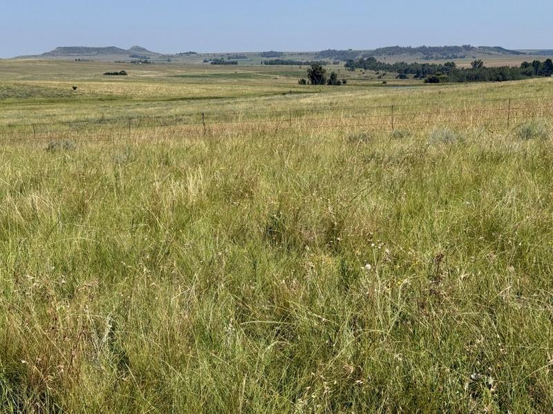 0 Bedroom Property for Sale in Bethlehem Rural Free State
